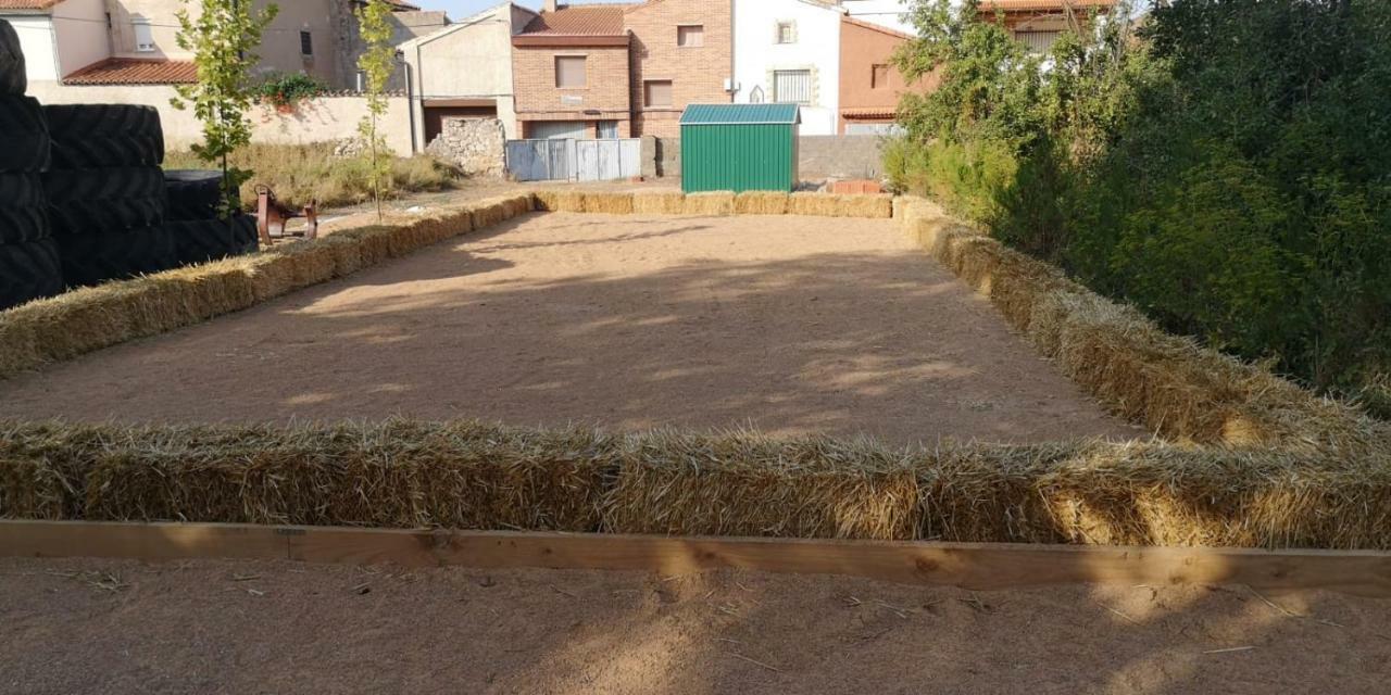 L'amparo Navarrete del Río